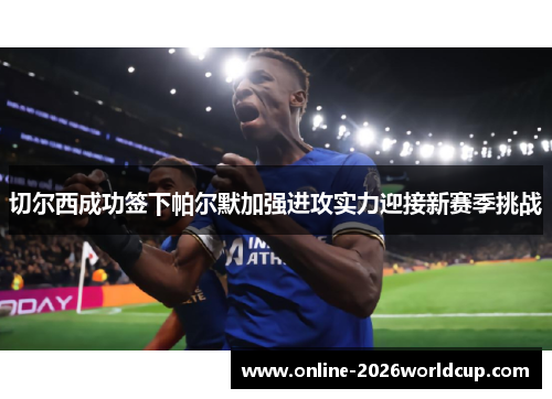 切尔西成功签下帕尔默加强进攻实力迎接新赛季挑战
