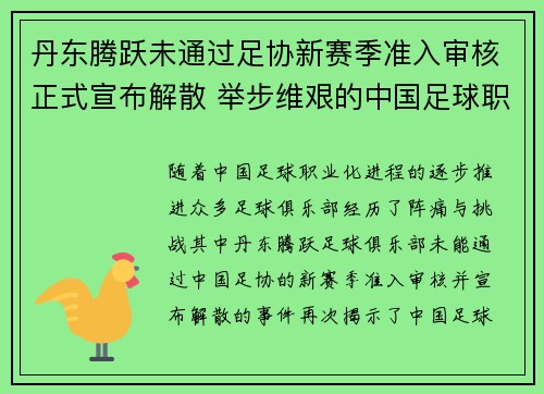 丹东腾跃未通过足协新赛季准入审核正式宣布解散 举步维艰的中国足球职业化困境再现