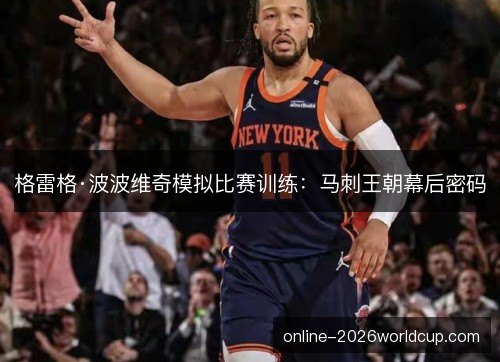 格雷格·波波维奇模拟比赛训练：马刺王朝幕后密码